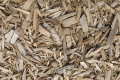 biomass boilers Ardbeg